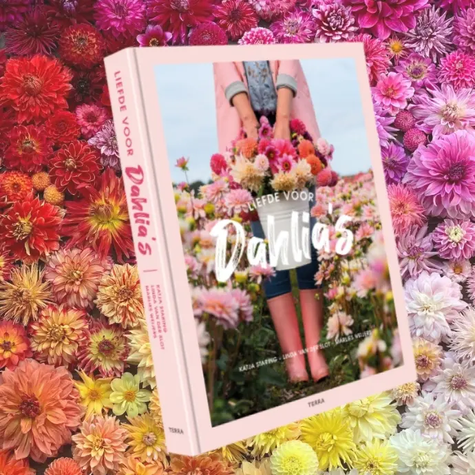 boek liefde voor dahlia's