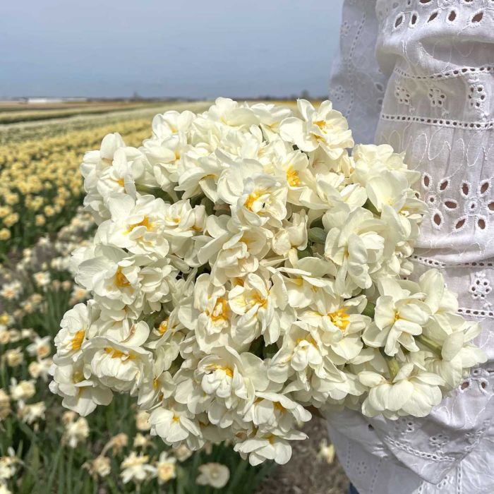 Bridal Crown