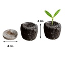 Seed starter plugs Jiffy - 50 pcs