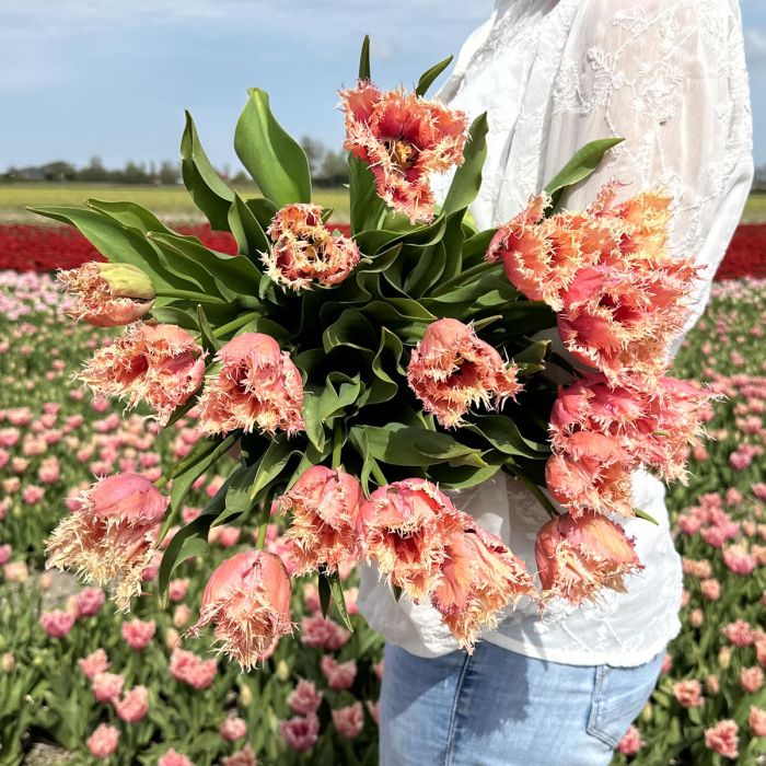 Paleis Het Loo