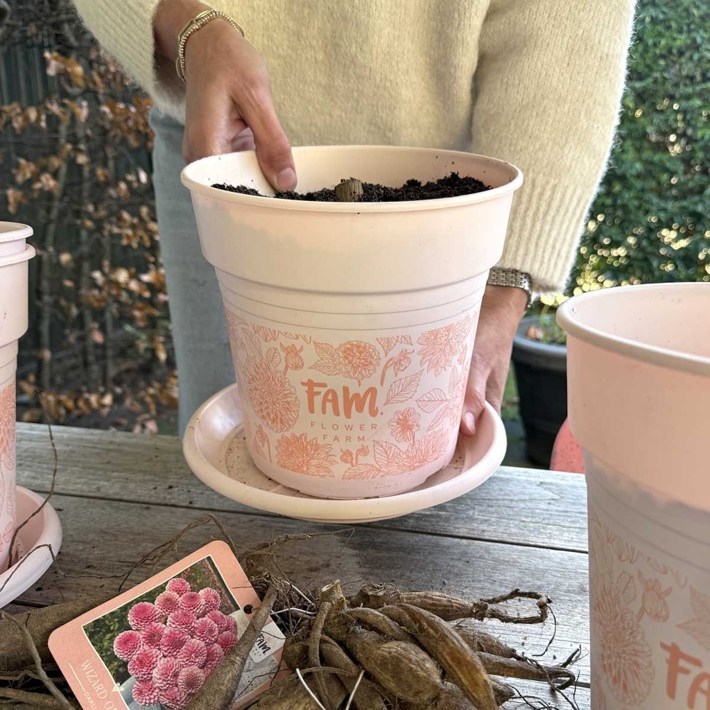 FAM plantenpot voor dahlia's - 5 stuks