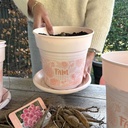 FAM plantenpot + schotel voor dahlia's - set van 5