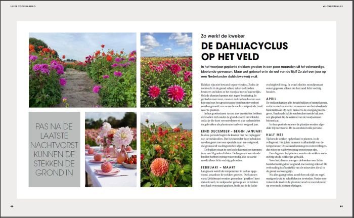 Book The Joy of Dahlias - English