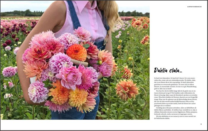 Boek Liefde voor Dahlia's - NL