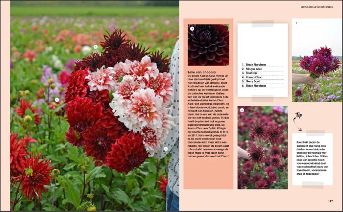 Boek Liefde voor Dahlia's - NL