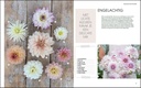 Boek Liefde voor Dahlia's - NL