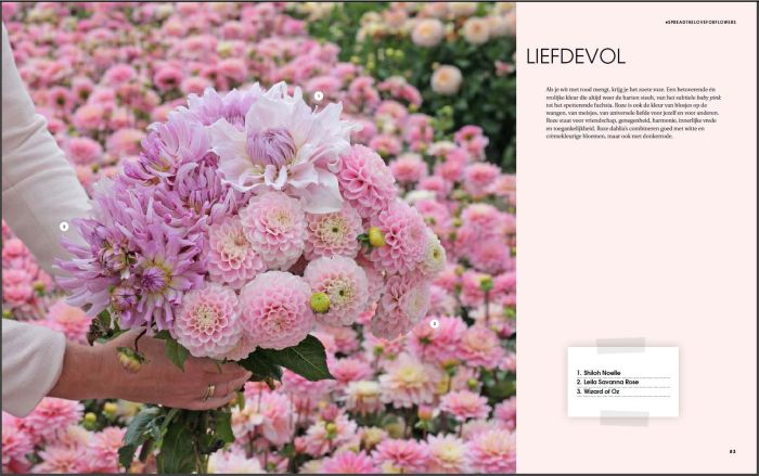 Boek Liefde voor Dahlia's - NL