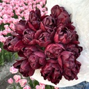 Black Peony