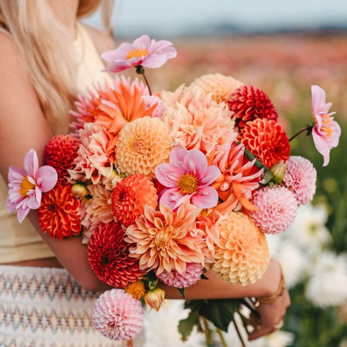 Mix Blooming Happiness (5 dahlia's)