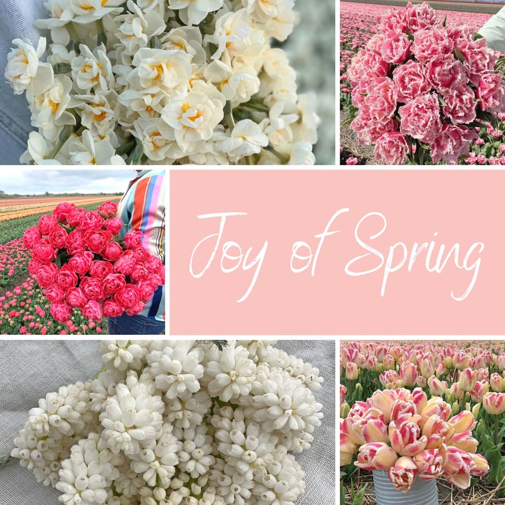 Mix Joy of Spring