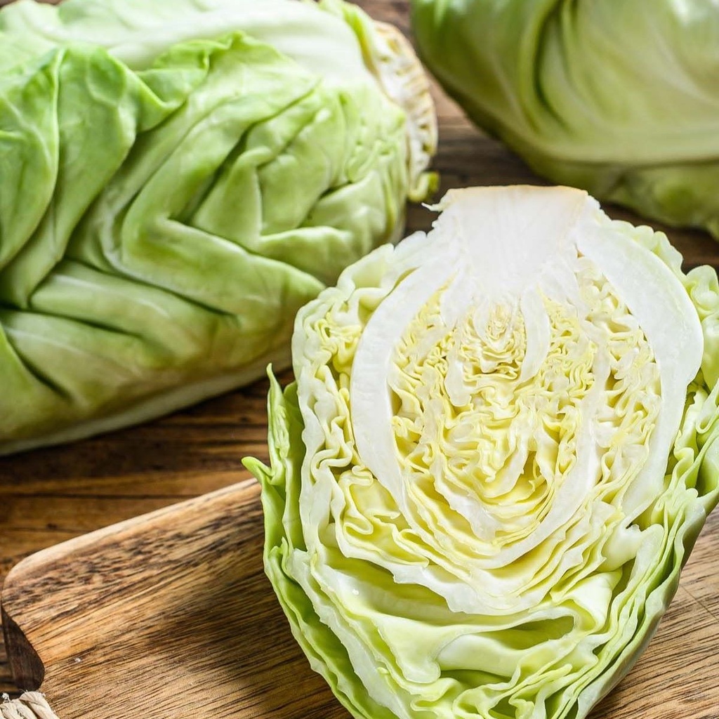 Cabbage Allegro F1