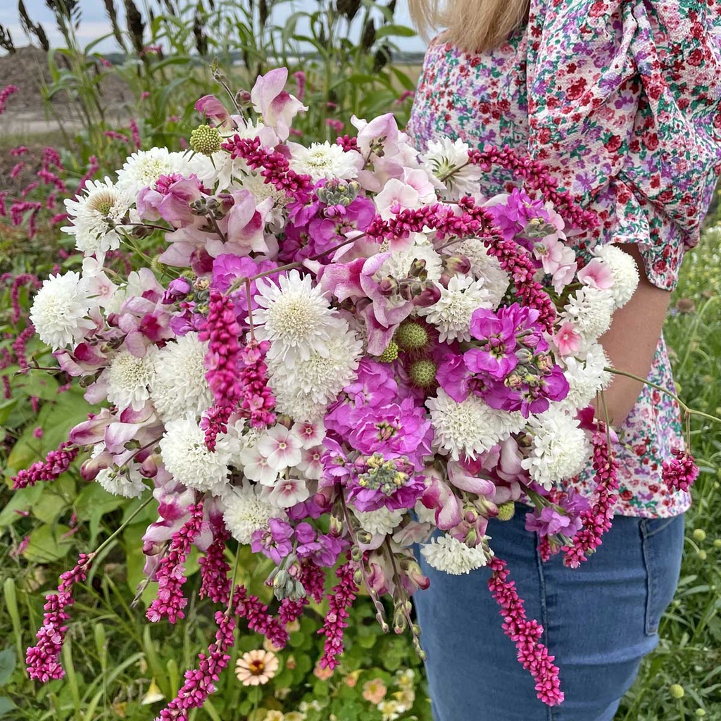 Mix Pink Whispers - 5x bloemenzaden