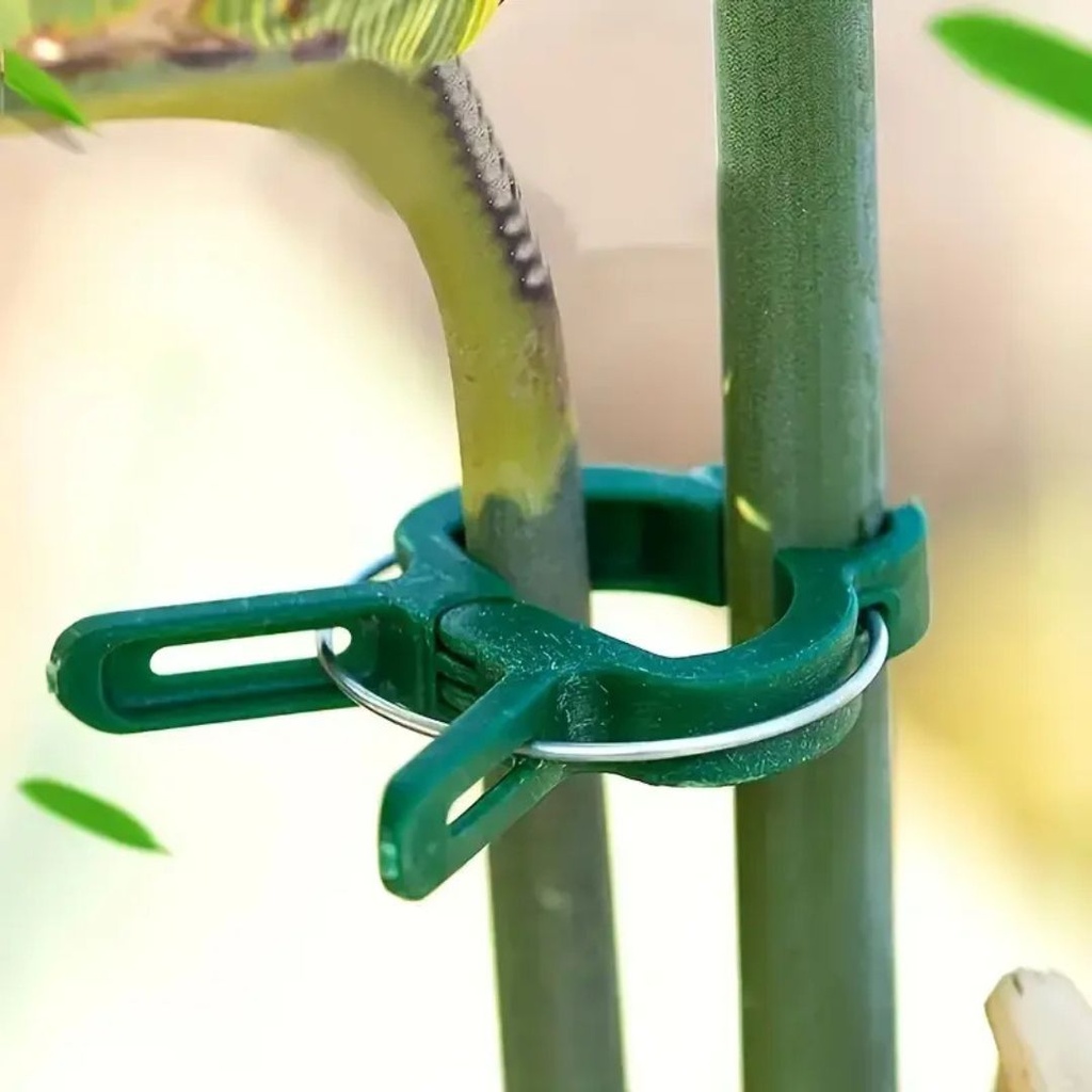 Plantenklemmetjes - 10 st.