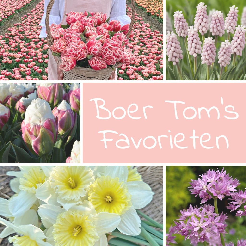 Mix Boer Tom's Favorieten