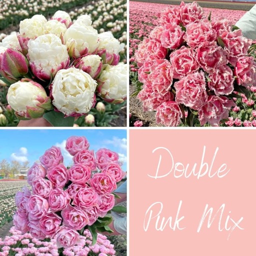 Mix Double Pink