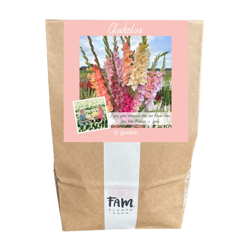 FREE: 1 mix bag with 10 gladiolus bulbs