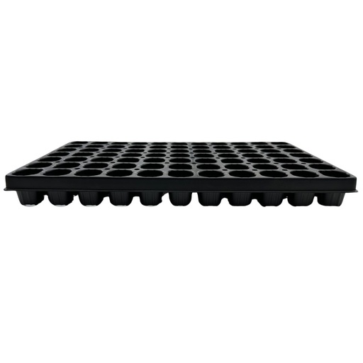 Seed tray 77 cells