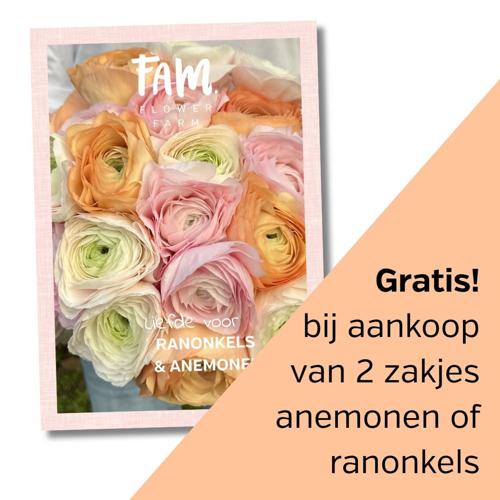 Boekje Liefde voor Ranonkels & Anemonen