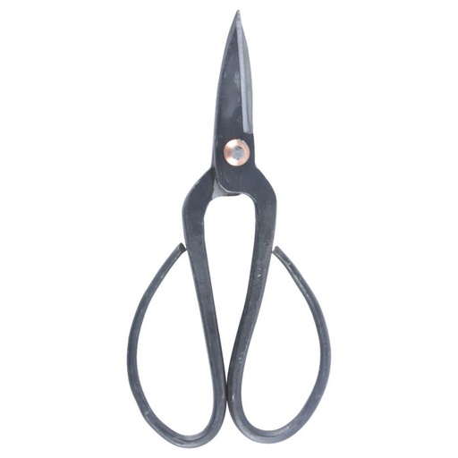 Hand scissors black